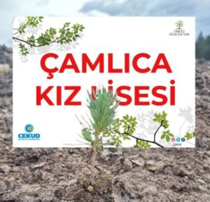 Çamlıca Kız Lisesinden Fidan Bağışı ve Fidan Dikim Etkinliği