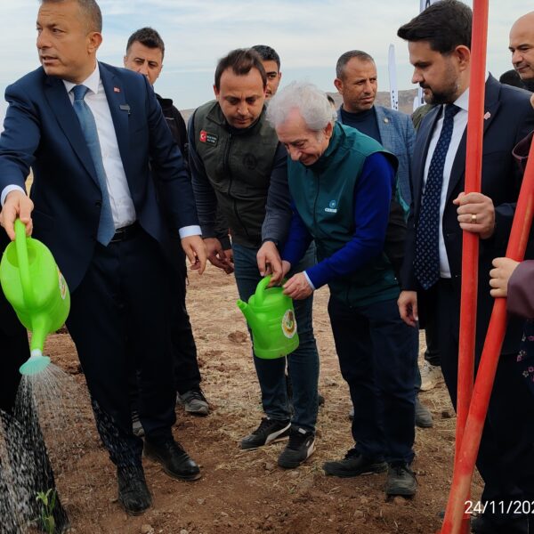 Kilis