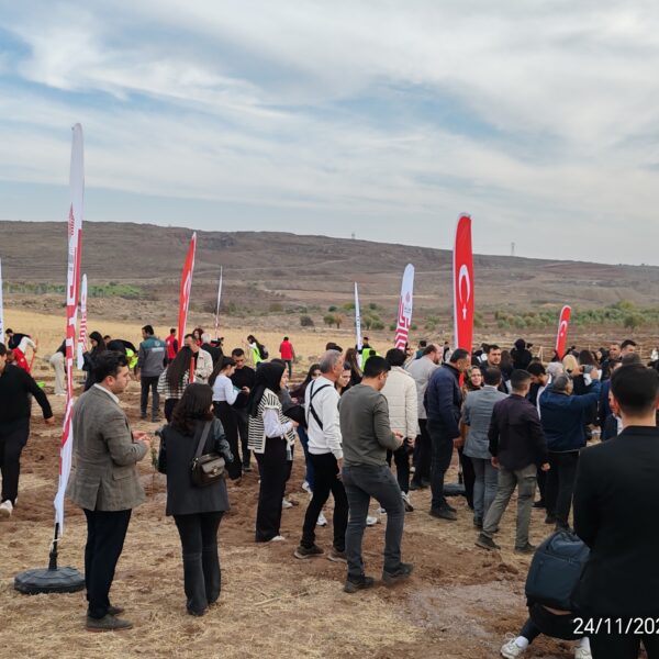 Kilis