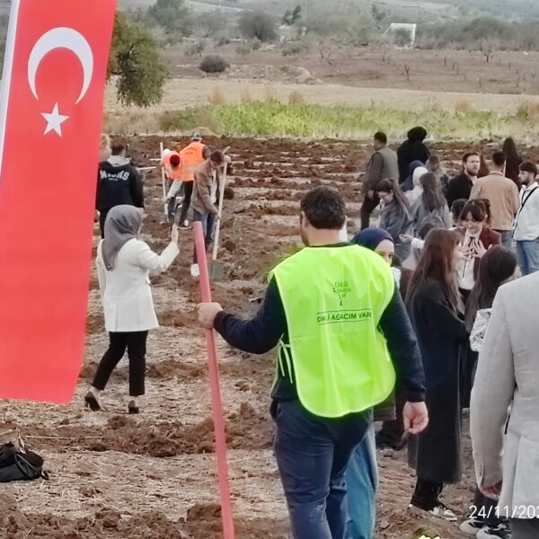 Kilis
