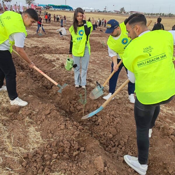 Kilis