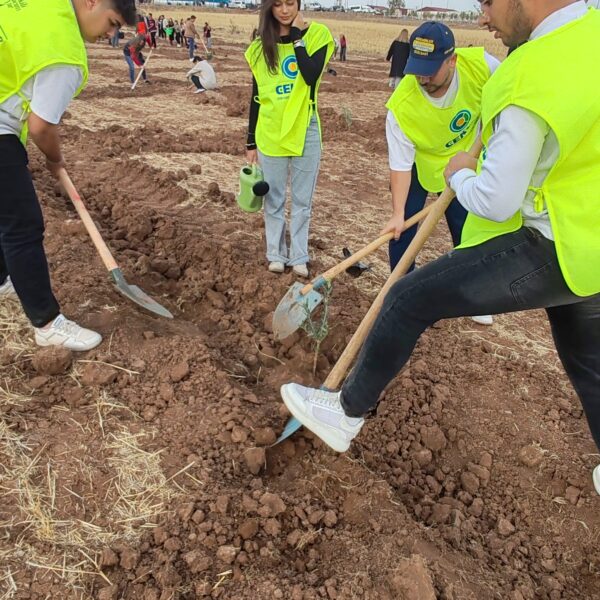 Kilis