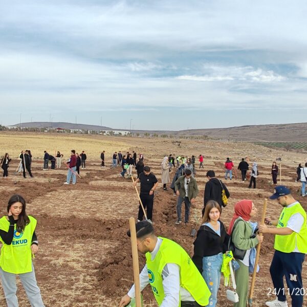 Kilis