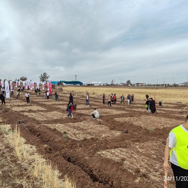 Kilis