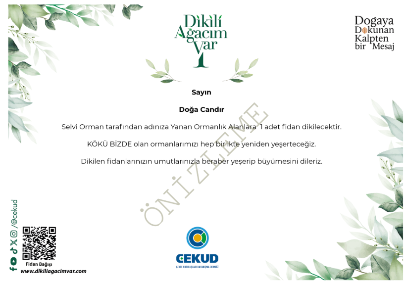 Kökü Bizde, Küllerimizden Doğuyoruz