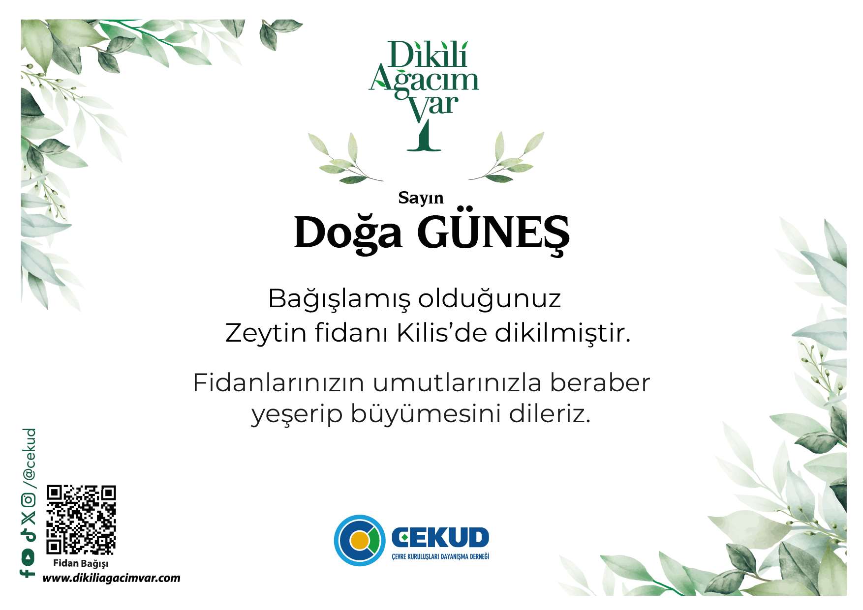 Fidan Sertifikaları