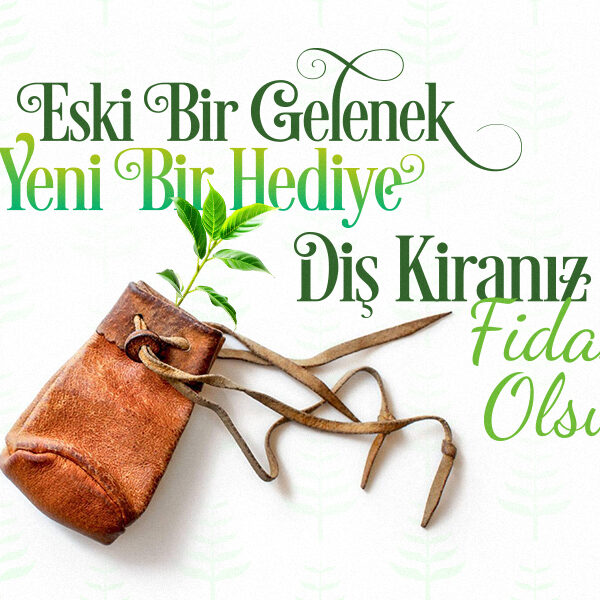 Gönüllü Çalışmalarımız