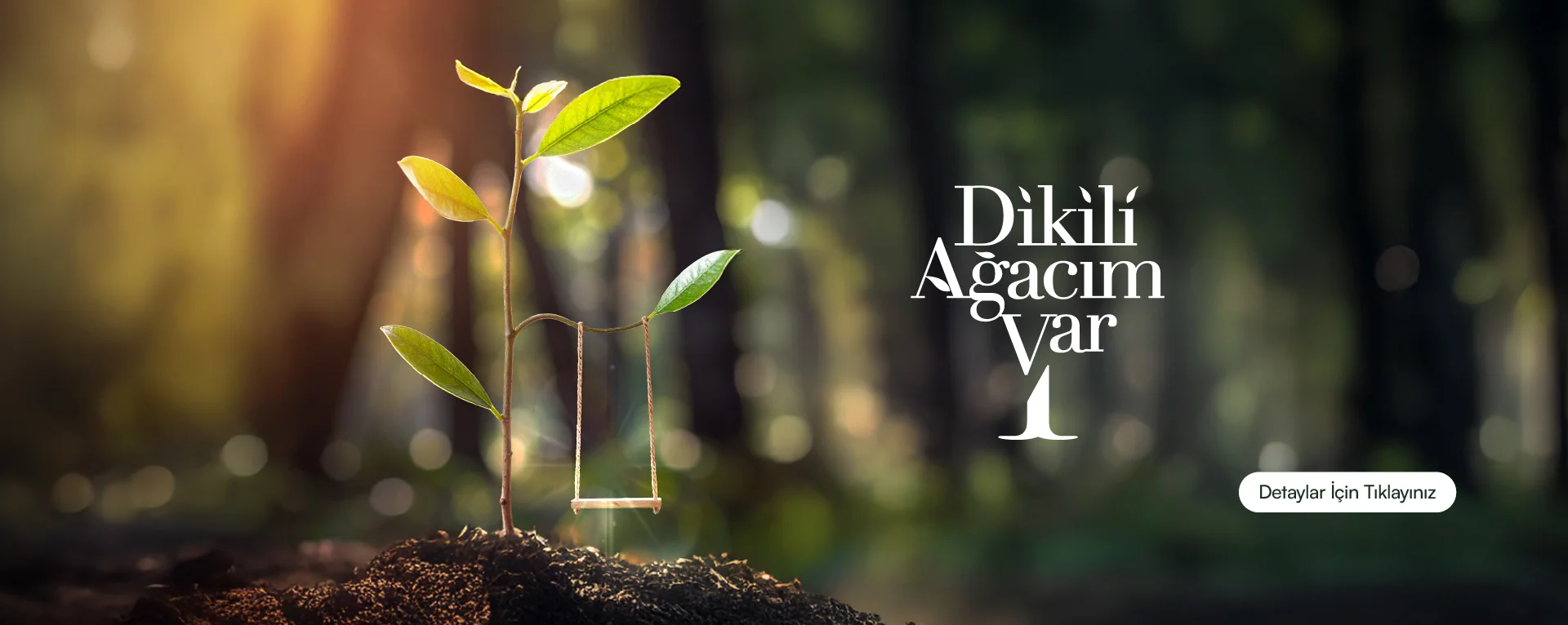 Dikili Ağacım Var