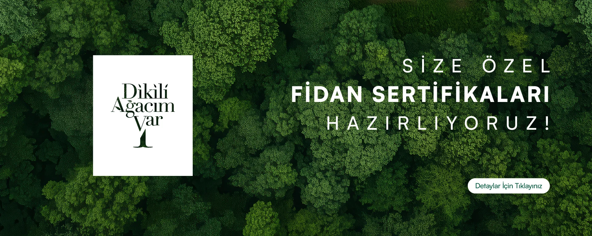 Size özel fidan sertifikaları hazırlıyoruz