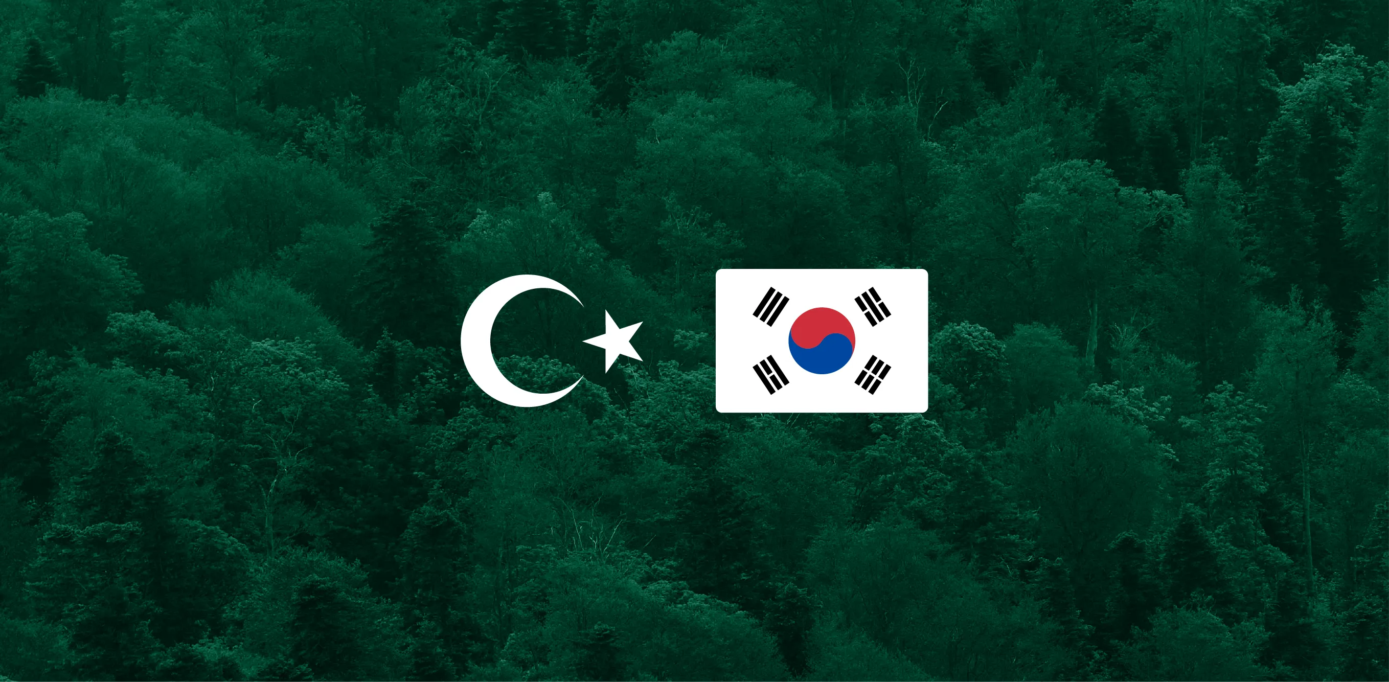 Kore-Türkiye Dostluk Ormanları