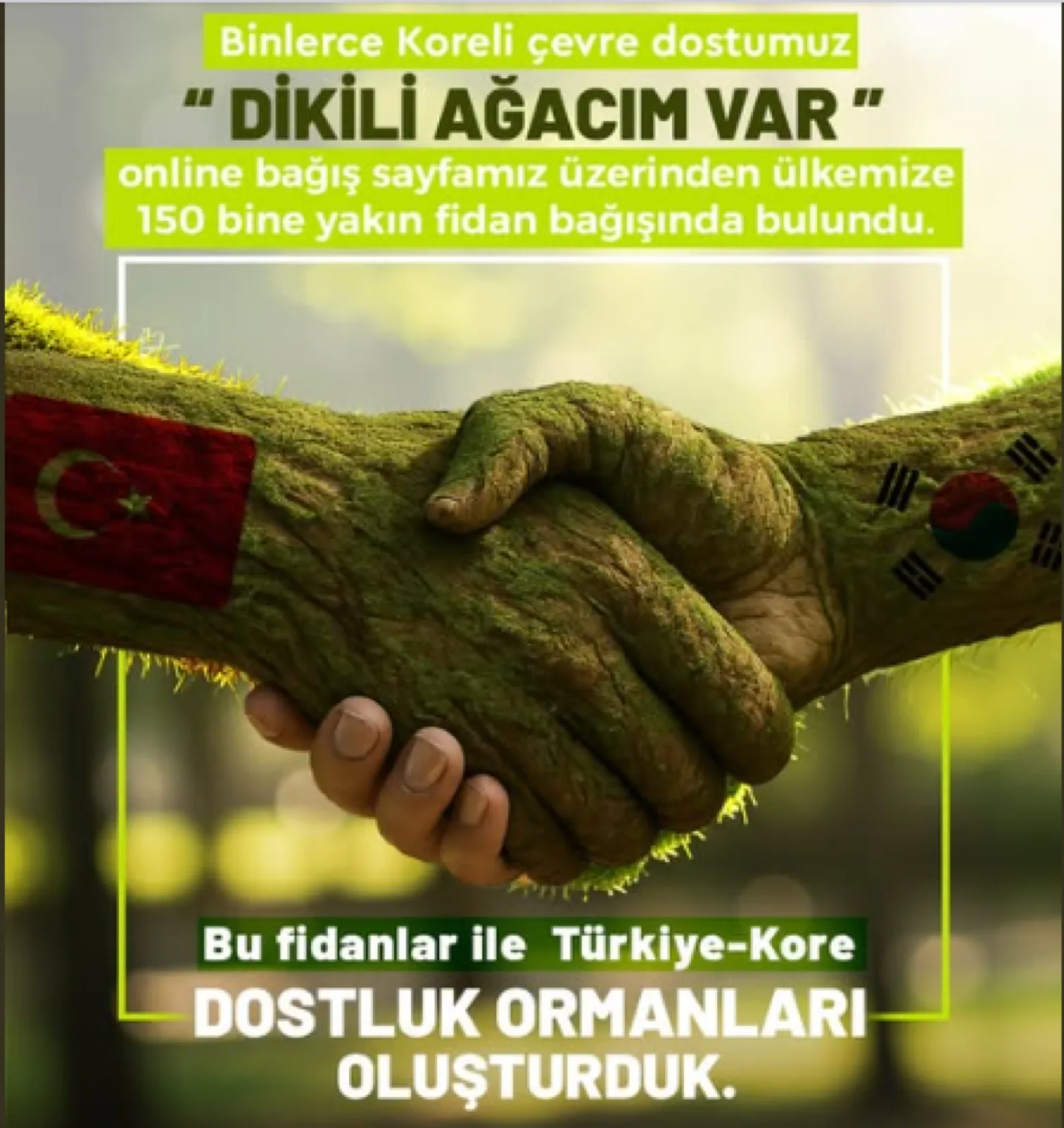 Dostluk Taze Fidanlarla Yeniden Yeşerdi - Dünya Gazetesi